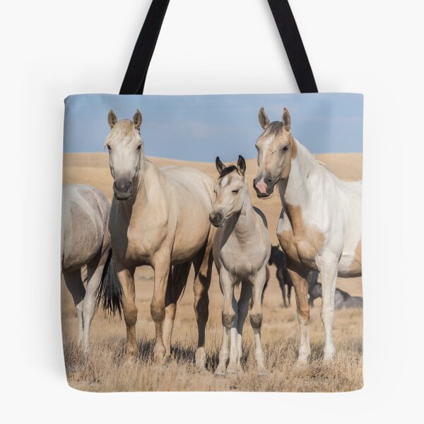 Item preview, Pinto Siblings designed and sold by Kelly Jay.