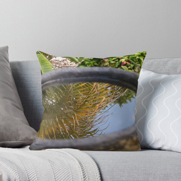 Item preview, Birdbath reflections designed and sold by Philip Alexander.