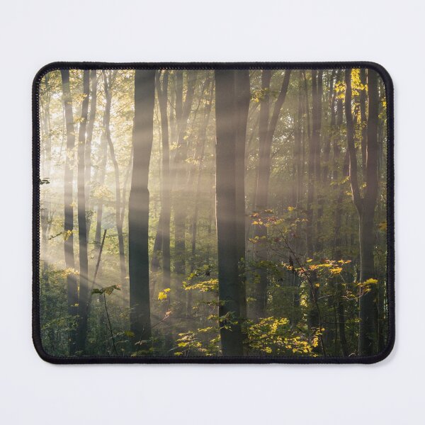 Item preview, Forest of Light designed and sold by KoenBoelrijk.
