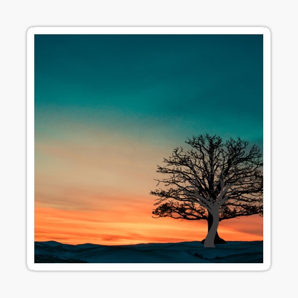 Item preview, Acacia Xanthophloea Fever Tree Sunset Art designed and sold by stareve.