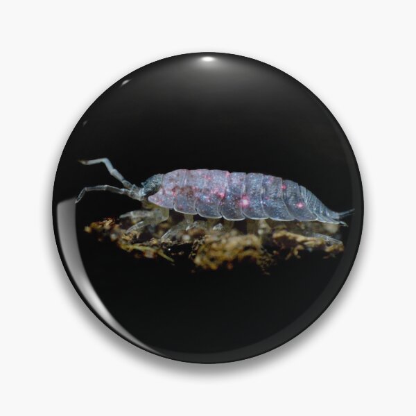 Item preview, All the world in just one Woodlouse designed and sold by CheesyBugShop.