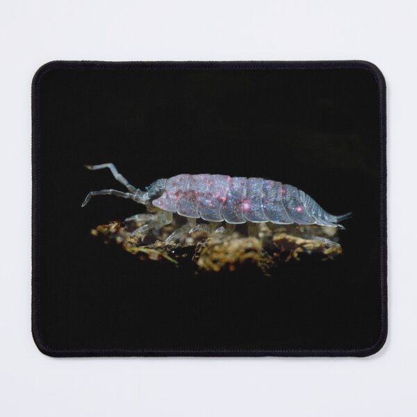 Item preview, All the world in just one Woodlouse designed and sold by CheesyBugShop.