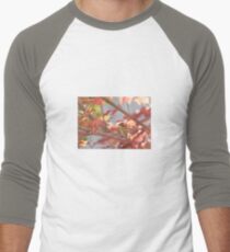 Autumn Warbler Men's Baseball ¾ T-Shirt