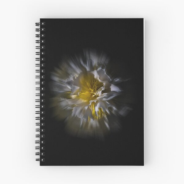 Item preview, Backyard Flowers 25 Color Flow Version designed and sold by The Learning Curve Photography.