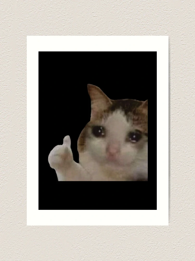 Thumbs Up Crying Cat