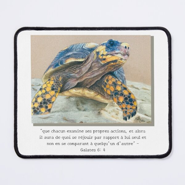 Item preview, Barbados Land Tortoise | Galatians 6:4 designed and sold by NathBros.