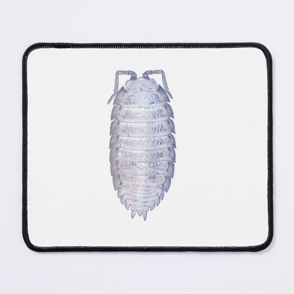 Item preview, Woodlouse X-Ray designed and sold by CheesyBugShop.