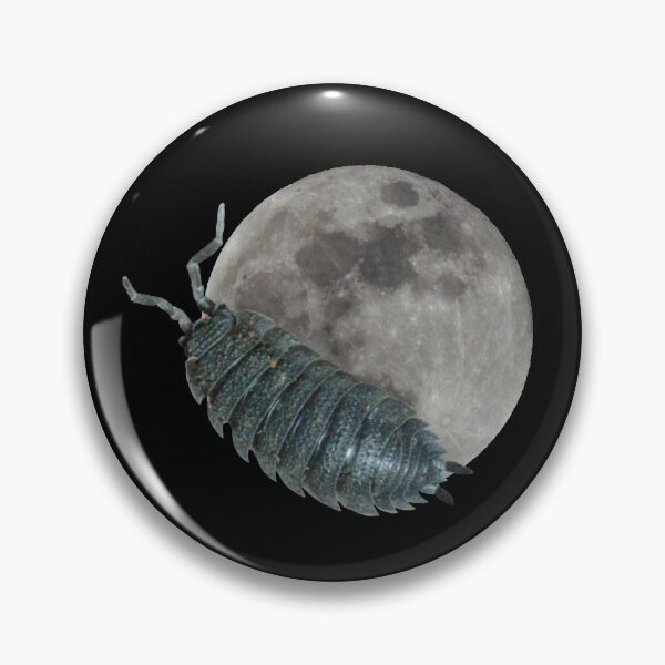 Item preview, Lunar Woodlouse designed and sold by CheesyBugShop.