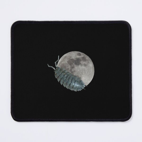 Item preview, Lunar Woodlouse designed and sold by CheesyBugShop.