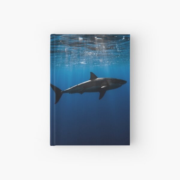 Shark! Hardcover Journal