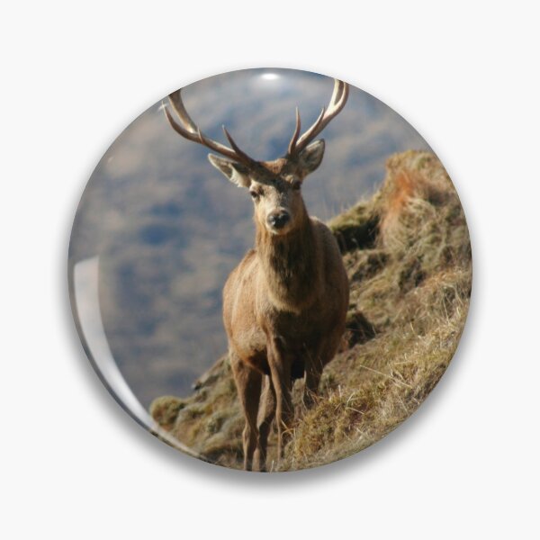Item preview, Stag designed and sold by beavo.