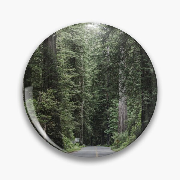 Item preview, Redwood National and State Park on U.S. 101 in Northern California. designed and sold by OdysseyGiftShop.