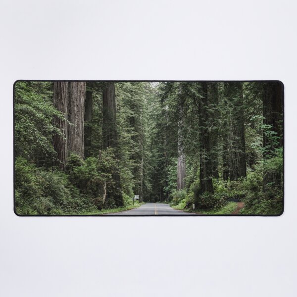 Item preview, Redwood National and State Park on U.S. 101 in Northern California. designed and sold by OdysseyGiftShop.