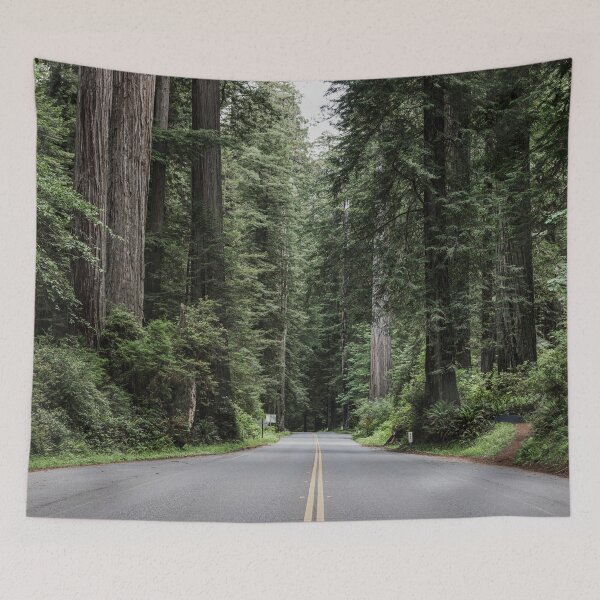 Item preview, Redwood National and State Park on U.S. 101 in Northern California. designed and sold by OdysseyGiftShop.