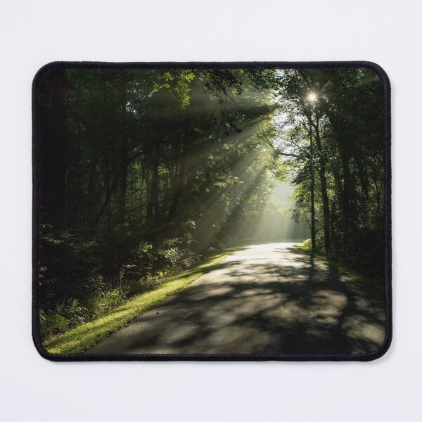 Item preview, An early morning scene in Davidson River Campground, Pisgah National Forest, NC. designed and sold by OdysseyGiftShop.