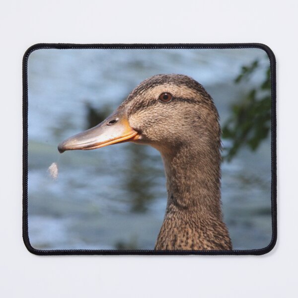 Item preview, Happy Duck Looking at the Camera designed and sold by InterOptic.