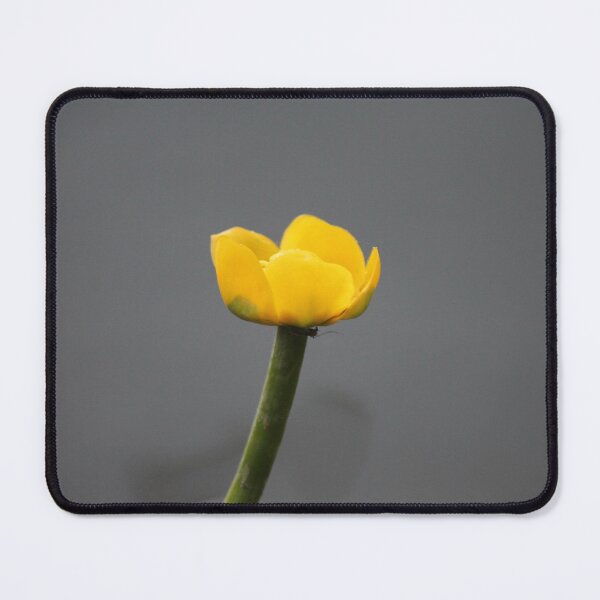 Item preview, Bright Yellow Lilly Pad Flower designed and sold by InterOptic.