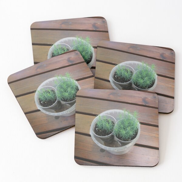 Item preview, small pine seedlings  designed and sold by mrivserg.