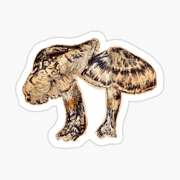 Fantasy Journal Matsutake Mushroom Sticker