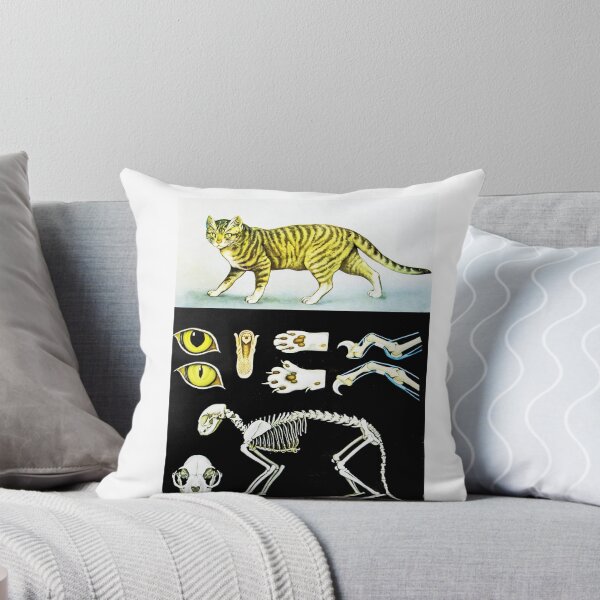 Item preview, Vintage Antique Cat Kitten Anatomy Skull Illustration designed and sold by vintageprints7.