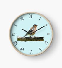Chaffinch - Roman dial markings, Blue background Clock