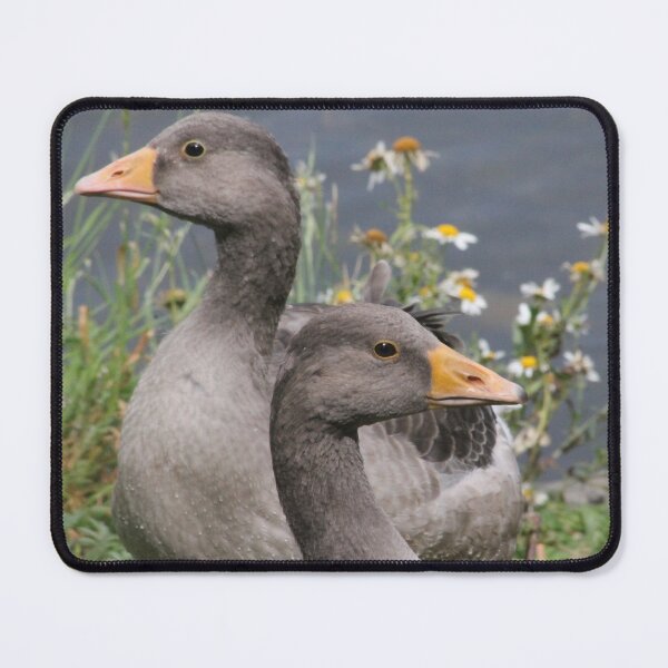 Item preview, Two Greylag Geese designed and sold by InterOptic.
