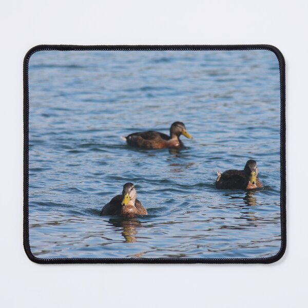 Item preview, Three Colourful Ducks designed and sold by InterOptic.