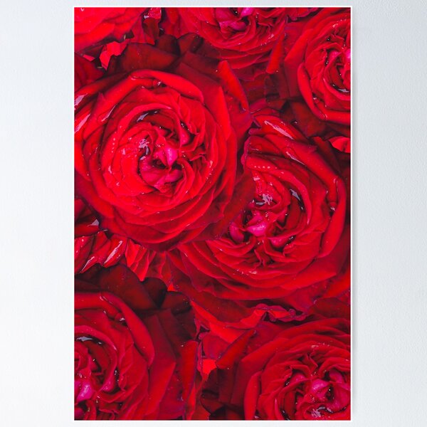 Item preview, From the heart - red roses for YOU! designed and sold by MarionsArt.