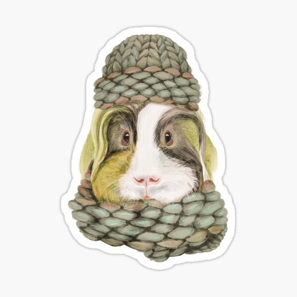 TWO NAMES Custom Cage Name Sticker Label Rabbit Guinea Pig Hamster