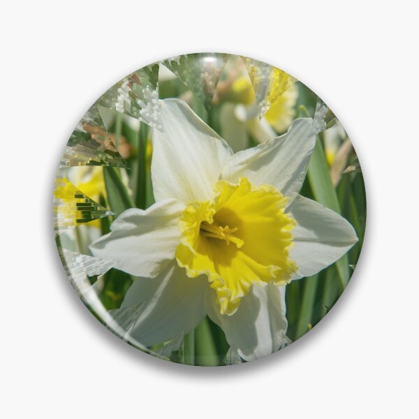 Item preview, Daffodil designed and sold by Goldenskik.