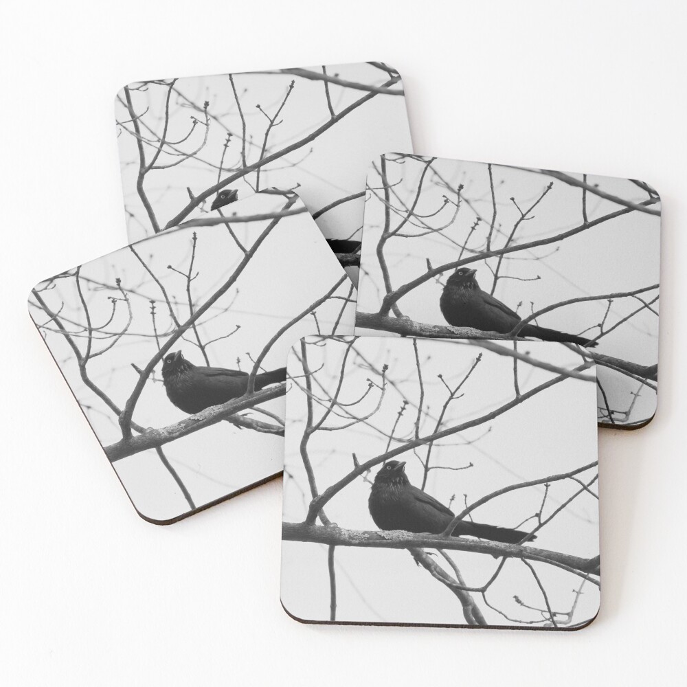 Item preview, Coasters (Set of 4) designed and sold by R-York.