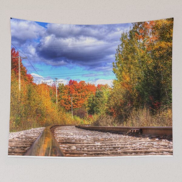 Item preview,   panoramic, widescreen prints, wall posters, Tapestries,Tapestry,throw blankets,comforters,duvet covers ,  train track,Railroad art,train wall art,Train art designed and sold by eyesight4vision.