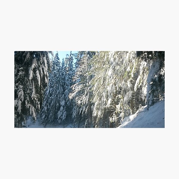 Item preview, Sunlit Snow designed and sold by elisacardnell.