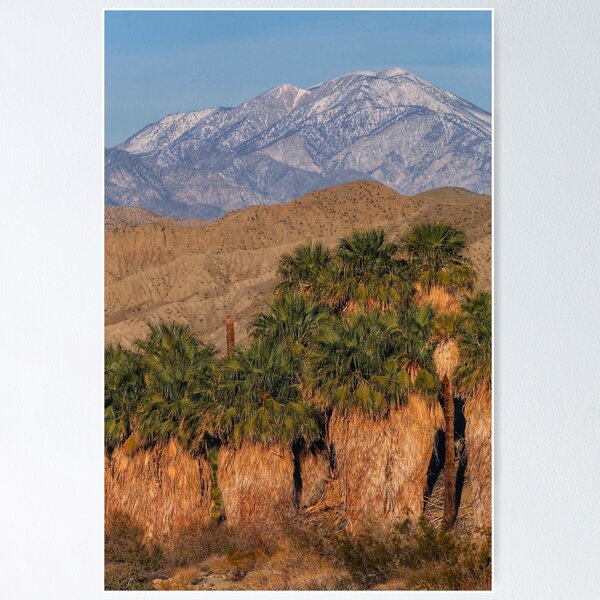 Item preview, Sand to Snow, Palms to Pines  designed and sold by Scott Collins.