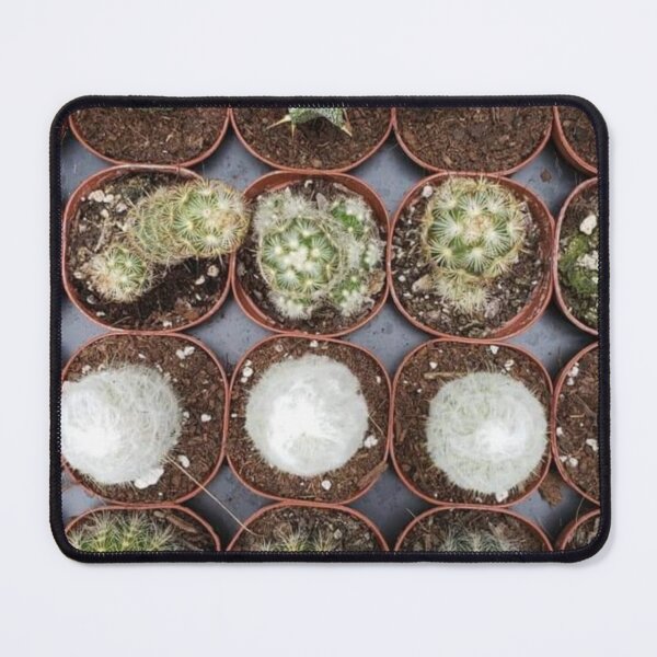 Item preview, Succulent plants  designed and sold by mkwirfs1994.