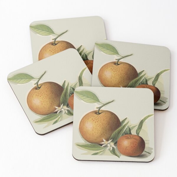 Item preview, Tangerine Branch - Vintage Citrus Illustration designed and sold by ZinZoe.