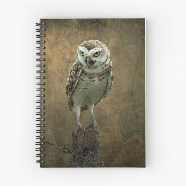 Item preview, It's An Owl designed and sold by Karen  Helgesen.