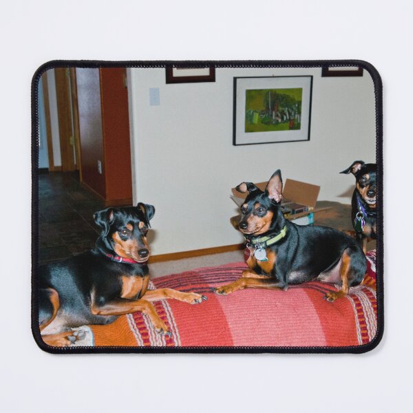 Item preview, It's so hard to get the kids to look at the camera designed and sold by Bryan Spellman.