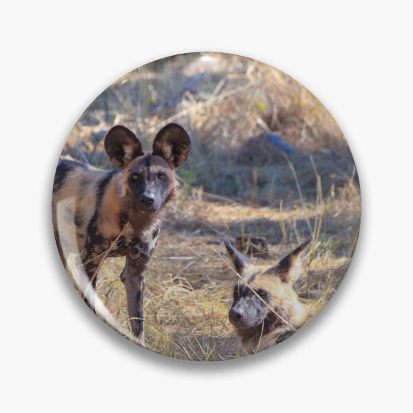 Item preview, Two African wild dogs in Moremi Game Reserve, Botswana designed and sold by SafariByMarisa.