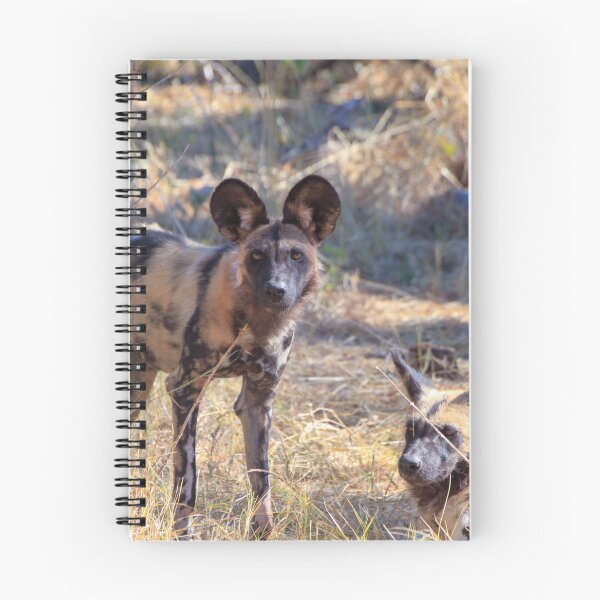 Item preview, Two African wild dogs in Moremi Game Reserve, Botswana designed and sold by SafariByMarisa.