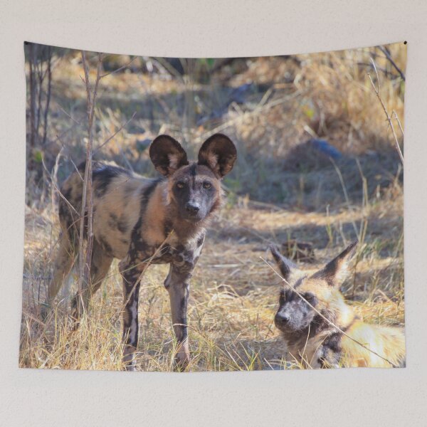 Item preview, Two African wild dogs in Moremi Game Reserve, Botswana designed and sold by SafariByMarisa.