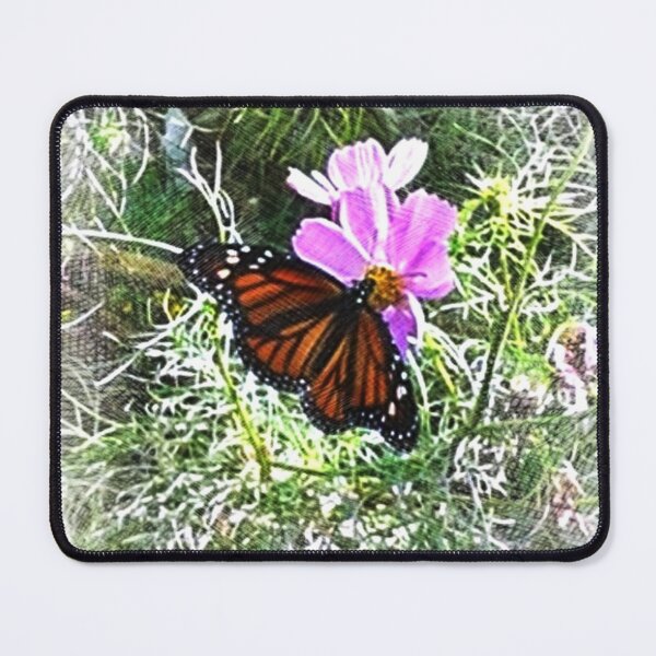 Item preview, Monarch Butterfly and Cosmos designed and sold by IvaRenee.