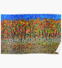 035 Fall Colors Poster