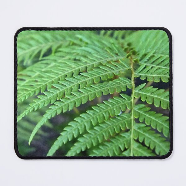 Item preview, Fern in the Forest designed and sold by Douglas E. Welch Design and Photography.