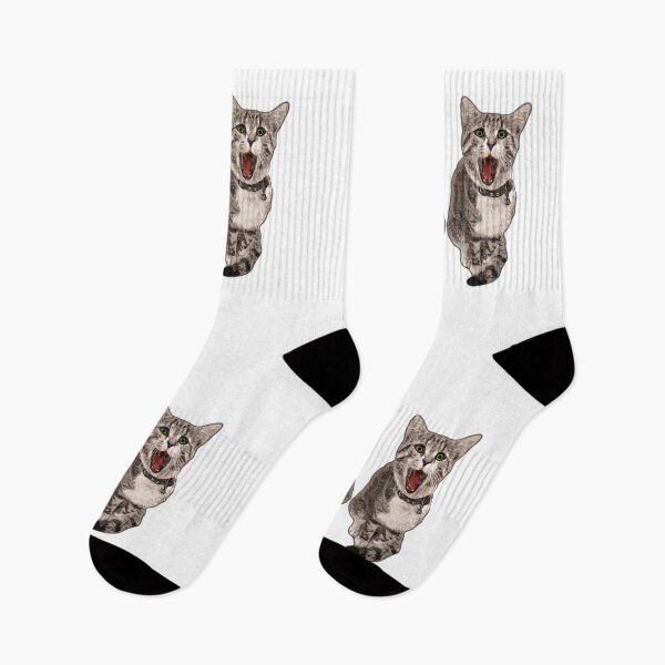 Item preview, House tiger double pack, tired yawning cats - funny photo design designed and sold by kikidu21.