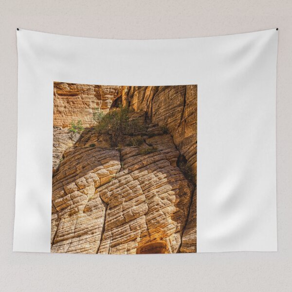 Item preview, Lick Wash Trail Hike designed and sold by GestaltImagery.
