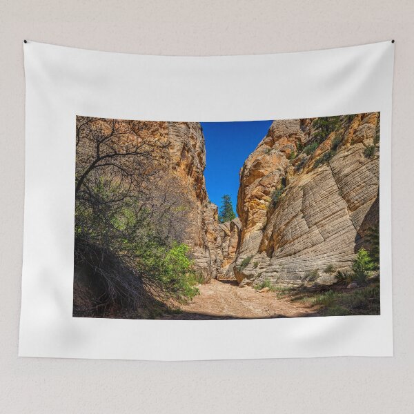 Item preview, Lick Wash Trail Hike designed and sold by GestaltImagery.