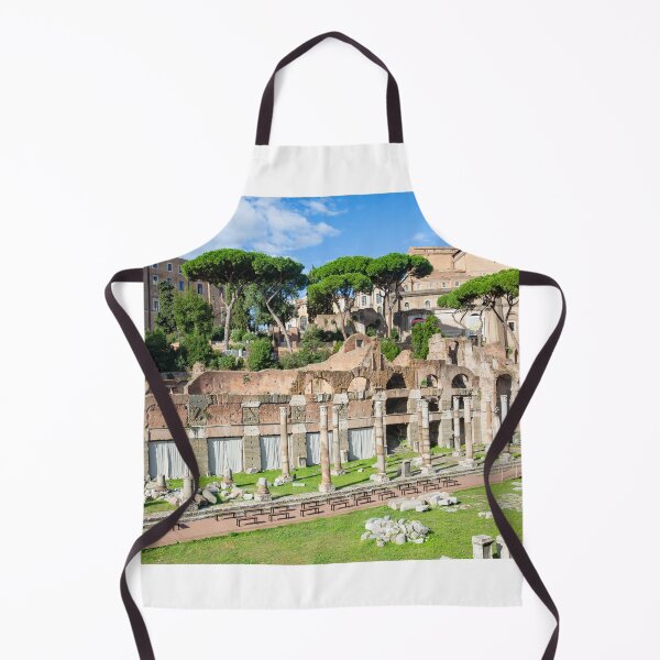 Item preview, The Forum in Rome city centre designed and sold by Martin Berry Photography.