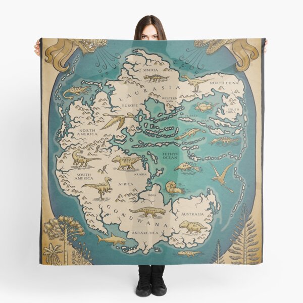 Cartier World Map Print Scarf - Farfetch