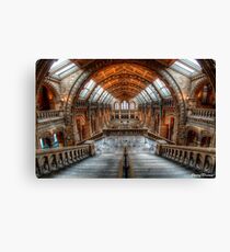 Natural History Museum Canvas Print